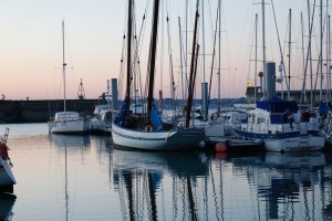 _MG_4131